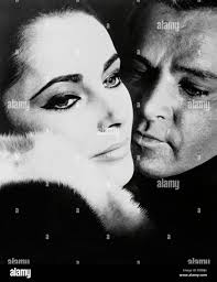 P taylor elizabeth with hi-res stock photography and images