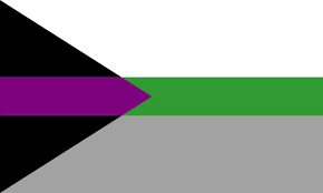 Find out what each of these 23 pride flags mean, and see each one here. Demiromantic Asexual Flag Concept Queervexillology