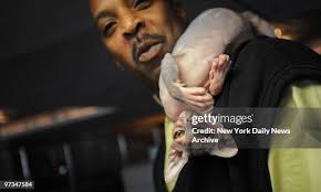 39 Good Golly Miss Molly Stock Photos, High-Res Pictures, and Images