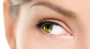 Warten sie, bis die milch abgekühlt ist. Lidrandentzundung Blepharitis Symptome Ursachen Und Behandlung