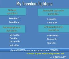 Image result for Extended Spectrum Penicillin