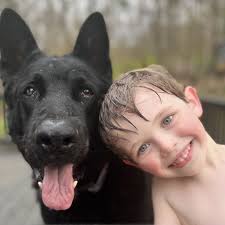 TOP 10 BEST Dog Shelter near Bedford, NH