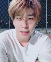 St Van Korean Idol Actor Model Woo Young