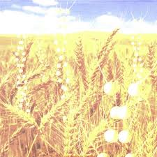 Birds Of A Feather Song Vulfpeck Breathe A Song By Telepopmusik Angela Mccluskey On Spotify In 2020 Radio Playlist Yoga Meditation Music Breathe