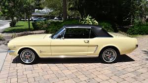 Image result for Springtime Yellow 1965 Mustang