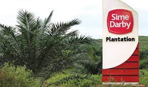 Sime darby plantation, petaling jaya, malaysia. Sime Darby Plantation Finds No Systemic Issues In Operations