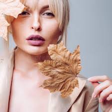 832 Autumnal Page Design Stock Photos