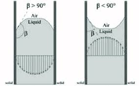 16 Cross Section Of Capillary Tube With Liquid Inside