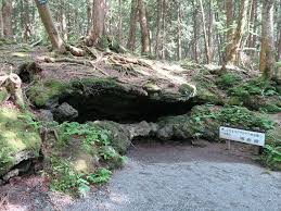 Fugaku Fuketsu Wind Cave A Natural Fridge At The Base Of Mt Fuji Matcha Japan Travel Web Magazine