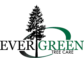 Explore other popular home services near you from over 7 million businesses with over 142 million reviews and opinions from yelpers. Evergreen Tree Care Reviews Testimonials Ever Green Tree Care