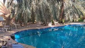 Det är aina och jeppe samt tobias och mia. Siwa Paradise Prices Hotel Reviews Egypt Tripadvisor