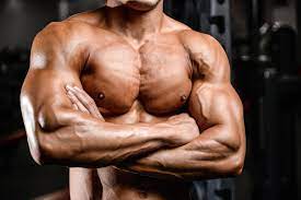 Sind in erster linie an einem möglichst vollen muskel interessiert. Brustmuskeltraining Die Top 7 Fur Mehr Breite Volumen