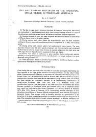 Ayam rebus untuk sugar glider. Pdf Diet And Feeding Strategies Of The Marsupial Sugar Glider In Temperate Australia