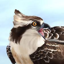 Prostudiomasters offers the original studio masters — exactly as the artist, producers and sound engineers mastered them — for download, directly to you. Mouad Manar