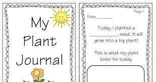 my plant journal pdf plant journal plant lessons plants lesson plans