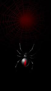 Gray spider, cgi, black widow, spider, white. Amoled Wallpaper 43 Dark Wallpaper Wallpaper Background
