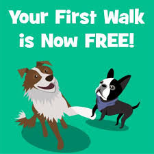 safeway owned grocery stores free delivery on your first order or drive up go service dog walking services dog walking wag dog walking