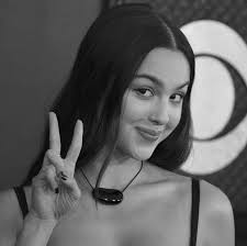 Marines killed, injured after US aircraft goes down during drill