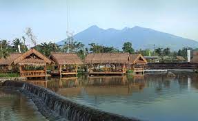 Halo pak/bu, anda bisa coba cari bibit ayam di aplikasi pak tani digital ya. Restoran Di Bogor Yang Wajib Untuk Dikunjungi Portal Seputar Cimanggu Bogor