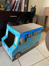 The support, communication and partnership from taco bueno help make a great brand even better. My Girl Also Invested In The El Gato Fish Taco Truck Franchise Catswithjobs