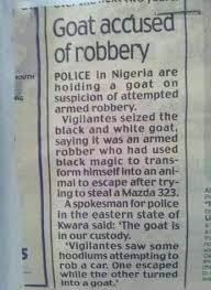 5 facts about these satirical news articles. 25 Funny Newspaper Headlines To Crack You Up Best Lifebest Life
