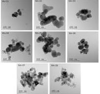Characterization and Cellular Toxicity Studies of Commercial ...