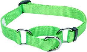 The most common head collars for dogs include the halti and the gentle leader. Best Collar Leash For A Puppy Dog Leashes Collars