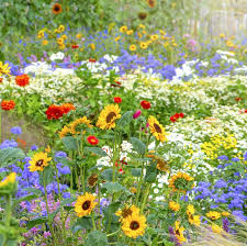 Maybe you would like to learn more about one of these? 30 Flowers That Bloom In Summer Annuals And Perennials For Late Summer
