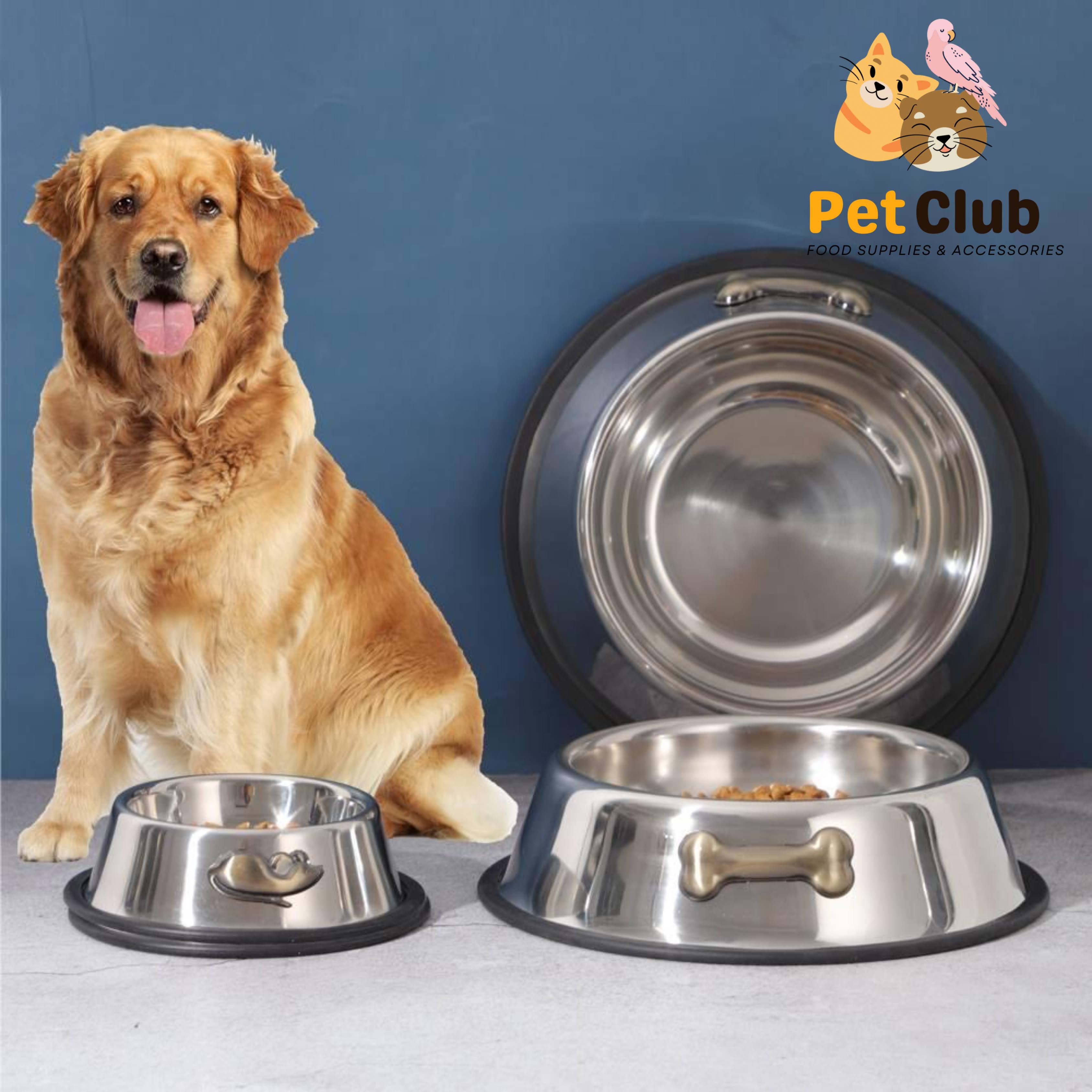 dog bowl product image