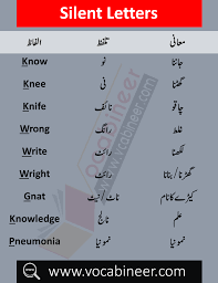 Silent Letters With Urdu Meanings Basic English Grammar In Urdu Learn English Words English Vocabulary Words English Words