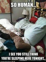 pin by rebecca ferguson on share some laughs funny animal pictures funny animals funny cute