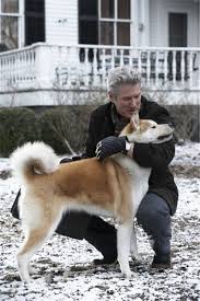 Richard gere, joan allen, sarah roemer and others. Richard Gere With An Akita From The Movie Hachiko Akita Dog Akita Dog Stories