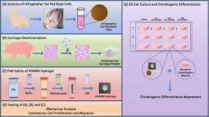 ACS Publications - American Chemical Society
