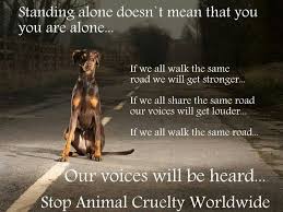 Pin Em Stop Animal Cruelty