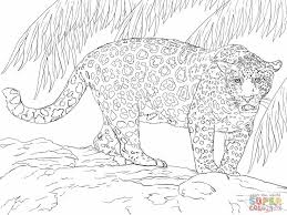 It says that children can use reddish yellow, black and white for this jaguar. Great Jaguar Coloring Online Super Coloring Animal Coloring Pages Super Coloring Pages Coloring Pages