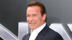 · the celebrity apprentice cast from season 12 credit: Arnold Schwarzenegger To Replace Donald Trump As Host Of Celebrity Apprentice Variety