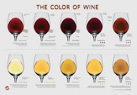 Wine Color Chart Friday Infogrphic Wine Drinks Wine
