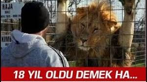 Fenerbahçe sözleri resimli mesaj, en güzel fenerbahçe mesajları anlamlı (26 aralık cumartesi). Galatasaray Fenerbahce Maci Sonrasi Komik Capsler Youtube