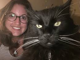 Three Black Cats Publishing