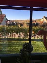 Blick Auf Die Dunen Ferienhaus Ferien Reisen