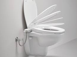 Does your toilet seat or lid slam down? Grohe Manual Bidet Seat Grohe