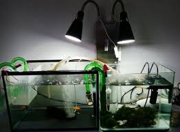 Ikea Hack Using Clamp Lights As Aquarium Lights Aquarium Lighting Aquarium Freshwater Fish