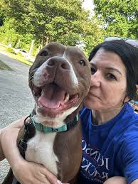 😬 our beautiful 3 year old girl Rosie girl has had a journey. One we dont  know anything about but was collected of the streets and put in a pound  after not