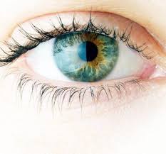 The cost of lasik eye surgery is typically advertised on a per eye basis. Lasik Costs At A Glance Lasik Germany