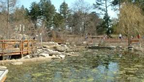 Eoropie: the Playground at the Edge of the World