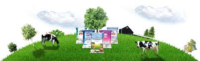 Milky way food industries sdn bhd. Star Food Industries