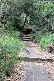 Maitland Bay Track Bushwalking And A Shipwreck Destination S Journey Scenery National Parks New South Wales