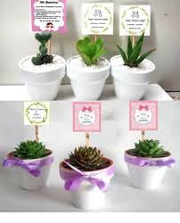 Tienda online especializada en la venta de cactus y suculentas. Cactus Y Suculentas Matrimonios Bautizos Baby Shower Misas En Lima Clasf Casa Y Jardin