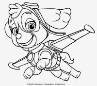 Paw Patrol Sky Ausmalbild 491 Malvorlage Paw Patrol