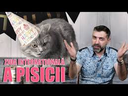 We did not find results for: Ziua Pisicii Youtube